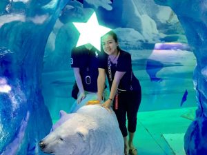 国際結婚　タイ　お見合い結婚